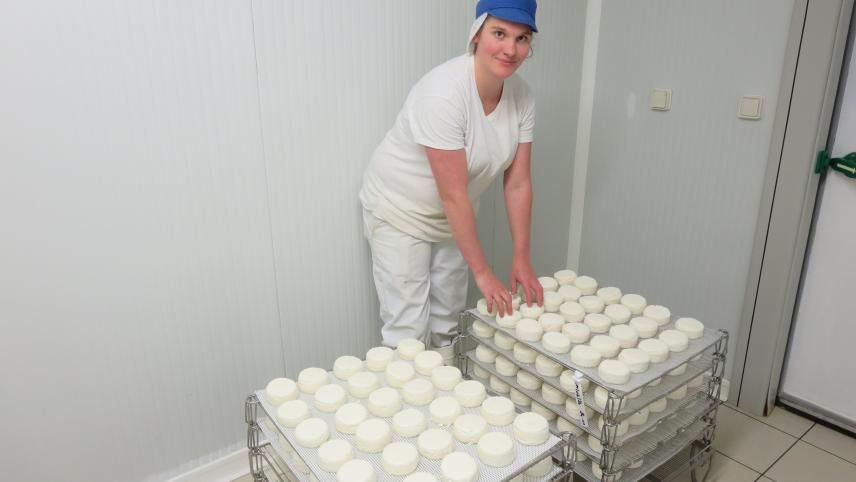 Irma, fromagère de 27 ans, veille à la bonne maturation du Petit Noyonnais, marque déposée. « La croûte est très crémeuse ».